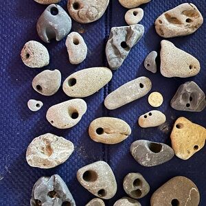 Collection of Natural Hag Stones/ price is for one.